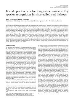 Female preferences for long tails constrained by