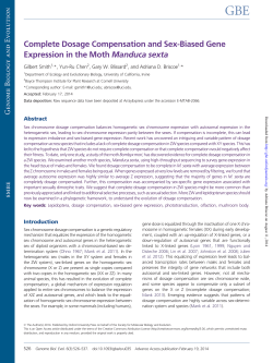 Complete Dosage Compensation and Sex