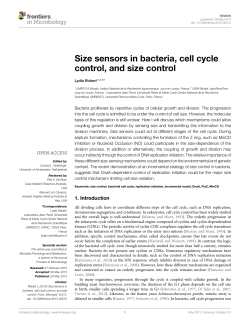 Size sensors in bacteria, cell cycle control, and size control