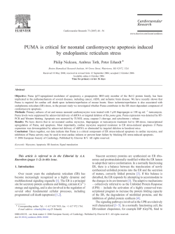 PUMA is critical for neonatal cardiomyocyte apoptosis induced by