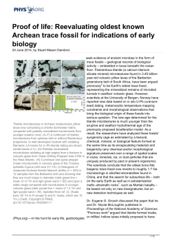 Proof of life: Reevaluating oldest known Archean trace fossil for