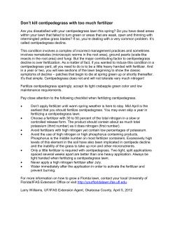 Don`t kill centipedegrass with too much fertilizer