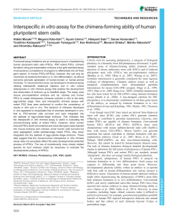 Interspecific in vitro assay for the chimera