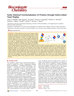 Facile Chemical Functionalization of Proteins through Intein