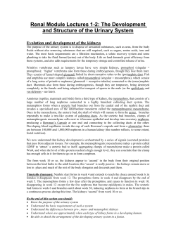 Renal Module Lectures 1-3: The Development and Structure of the