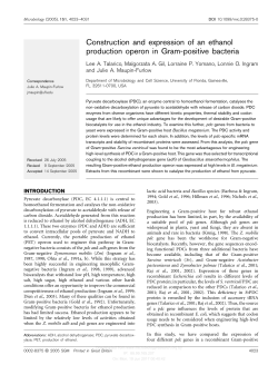 Construction and expression of an ethanol production