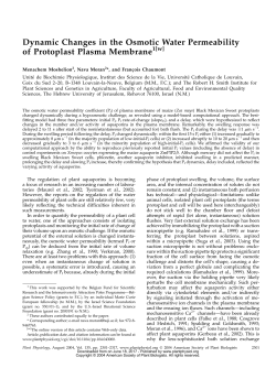 Dynamic Changes in the Osmotic Water Permeability of Protoplast