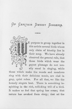 E purpose to group together in this article several birds whose only