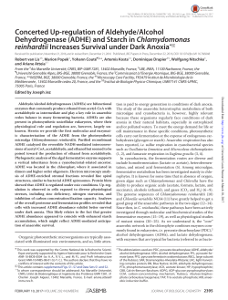 ADHE - Institut de Biologie Physico