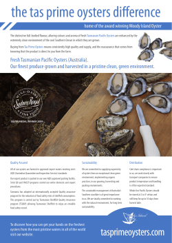 Tas Prime Oysters | Fresh From The Edge Of The World