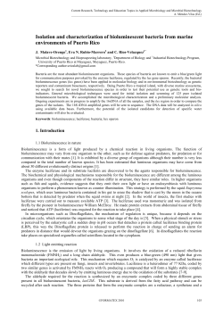 Isolation and characterization of bioluminescent bacteria from