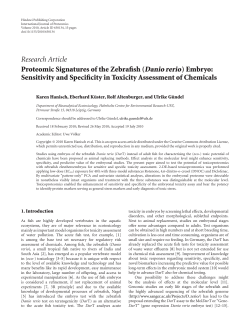 Proteomic Signatures of the Zebrafish (Danio rerio) Embryo