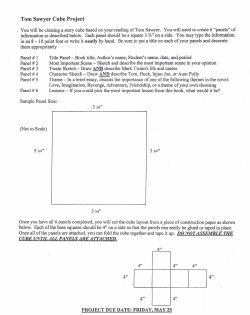 Tom Sawyer Cube Project 4