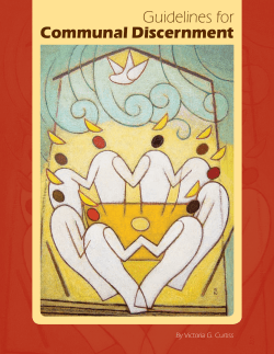 Guidelines for Communal Discernment