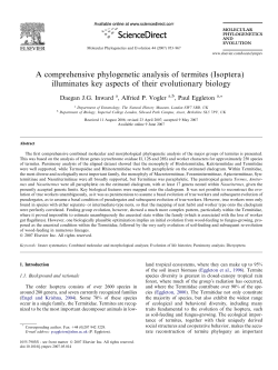 A comprehensive phylogenetic analysis of