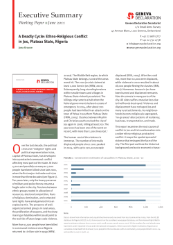 Executive Summary - A Deadly Cycle: Ethno