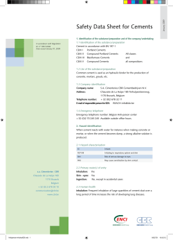 Safety Data Sheet for Cements