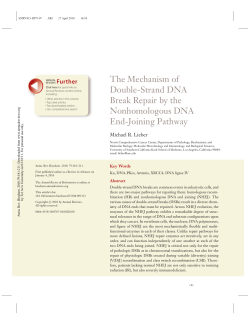 The Mechanism of Double-Strand DNA Break Repair by the