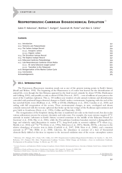 Neoproterozoic-Cambrian Biogeochemical Evolution
