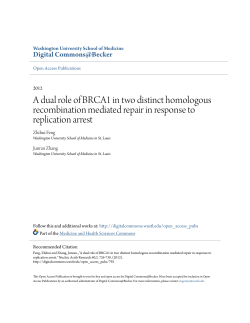 A dual role of BRCA1 in two distinct homologous recombination