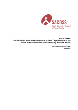 Unique Peaks: The Definition, Role and Contribution of Peak