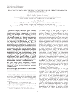 PHOTOACCLIMATION IN THE PHOTOTROPHIC MARINE CILIATE