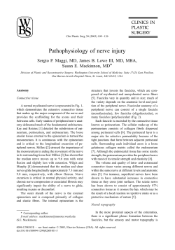nerve injury