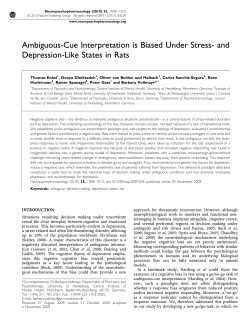 Ambiguous-Cue Interpretation is Biased Under Stress