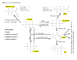 SOCl2 KOH(aq), heat KOH(alc), heat NH3 (alc), heat H /MnO4