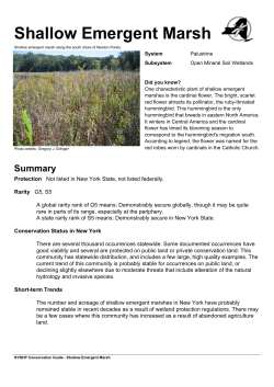 Printer Friendly Version - New York Natural Heritage Program