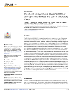 The Sheep Grimace Scale as an indicator of post