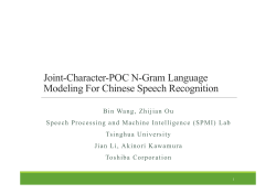 Joint-Character-POC N-Gram Language