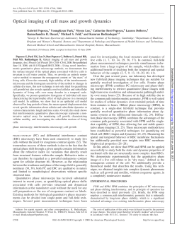 Optical imaging of cell mass and growth dynamics