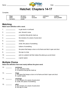 Hatchet: Chapters 14-17