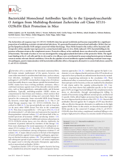 Bactericidal Monoclonal Antibodies Specific to the