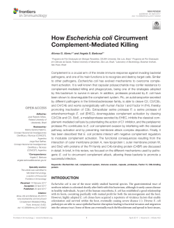 How Escherichia coli Circumvent Complement