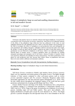 Impact of endophytic fungi on seed and seedling characteristics in