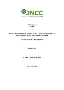 Applying the OSPAR habitat definition of deep-sea sponge