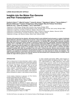 Insights into the Maize Pan-Genome and Pan