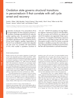 Oxidation state governs structural transitions in peroxiredoxin II that