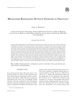 mechanisms restraining oxytocin neurones in pregnancy