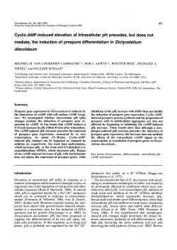 Cyclic-AMP-induced elevation of intracellular pH precedes, but does