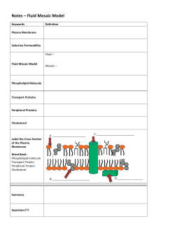 Notes – Fluid Mosaic Model