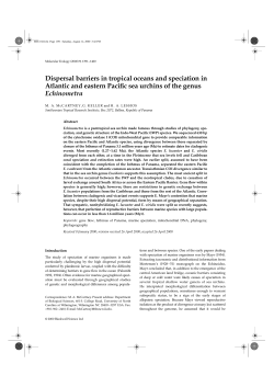 Dispersal barriers in tropical oceans and speciation in Atlantic and