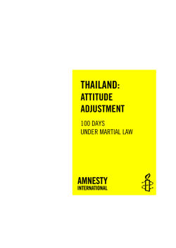 PDF - Amnesty International