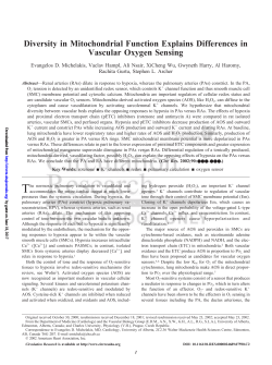 Diversity in Mitochondrial Function Explains Differences in Vascular