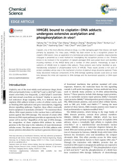 HMGB1 bound to cisplatin&ndash;DNA adducts