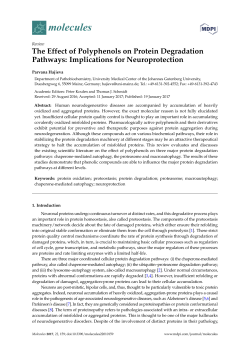 The Effect of Polyphenols on Protein Degradation Pathways