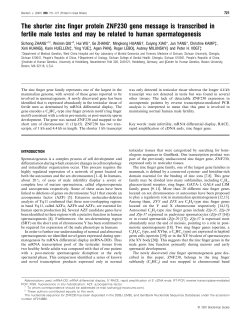 The shorter zinc finger protein ZNF230 gene message is transcribed