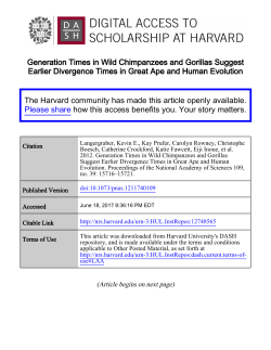 Generation Times in Wild Chimpanzees and Gorillas Suggest